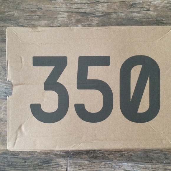 SOLD - adidas Yeezy 350 V2 ‘True Form’ Size 9 - Picture 14 of 16